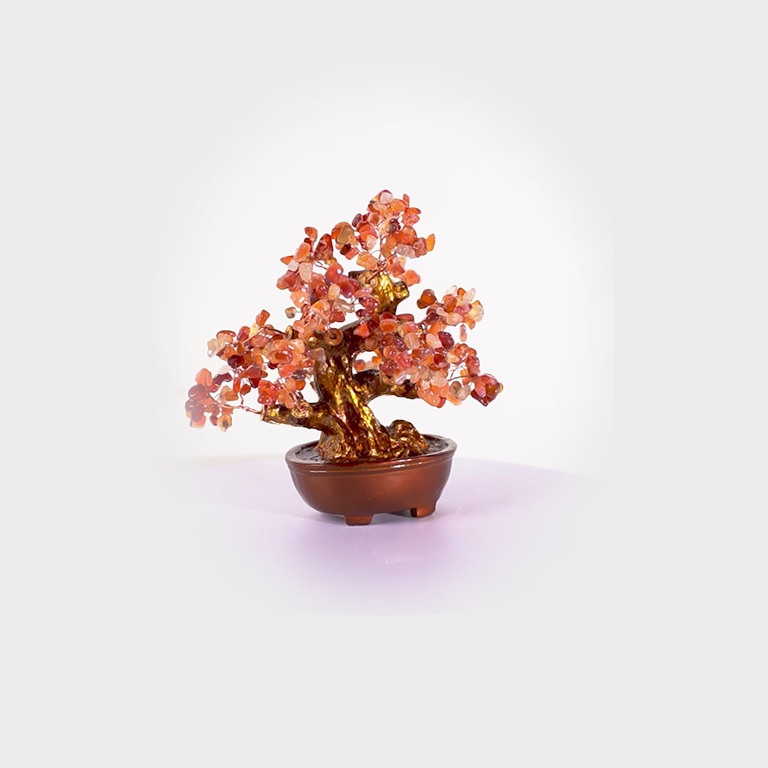 Red Agate Crystal Tree for Strength & Vitality 25cm