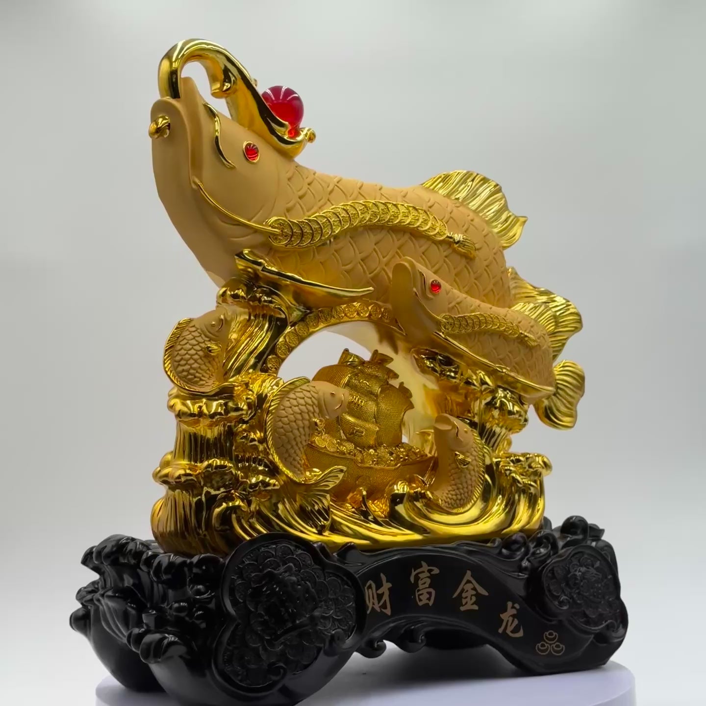 A Dynasty of Riches Family of Arowanas 48cm