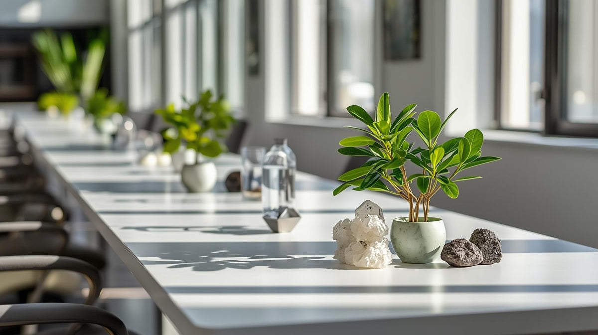 Feng Shui Charm Recommendations for Startups: Charms to Gain Customers and Clients