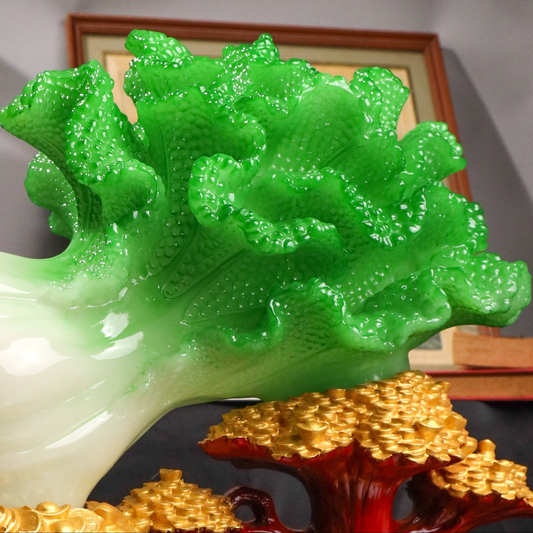 Mega Fortune Bai Cai Cabbage 46cm