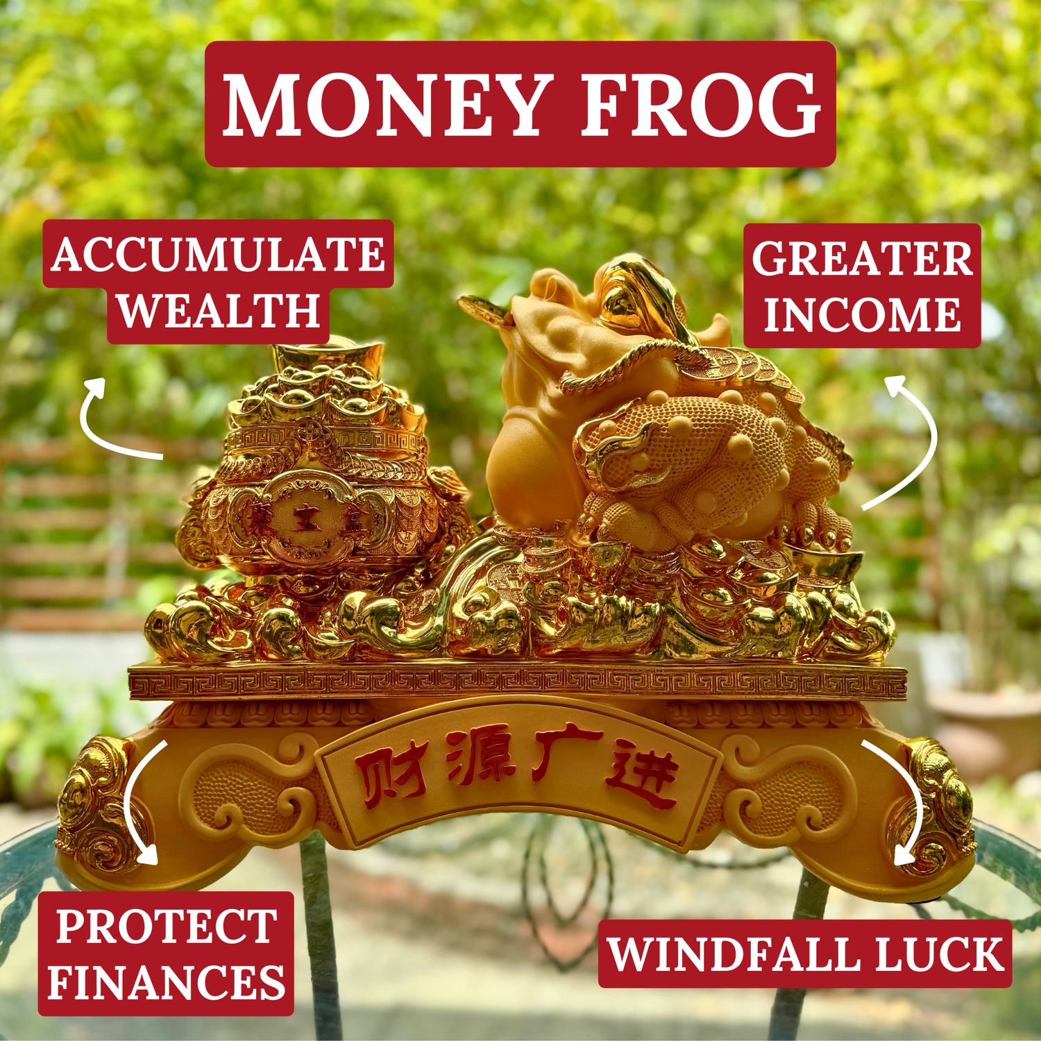 The Millionaire&