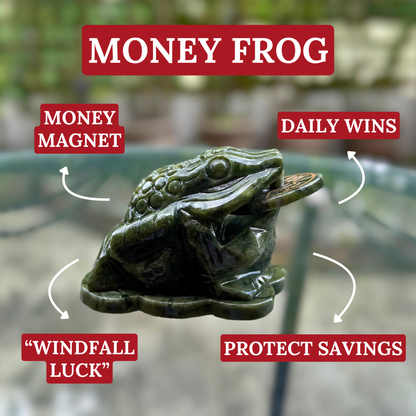 Little Jade Money Frog for Big Gains 11cm
