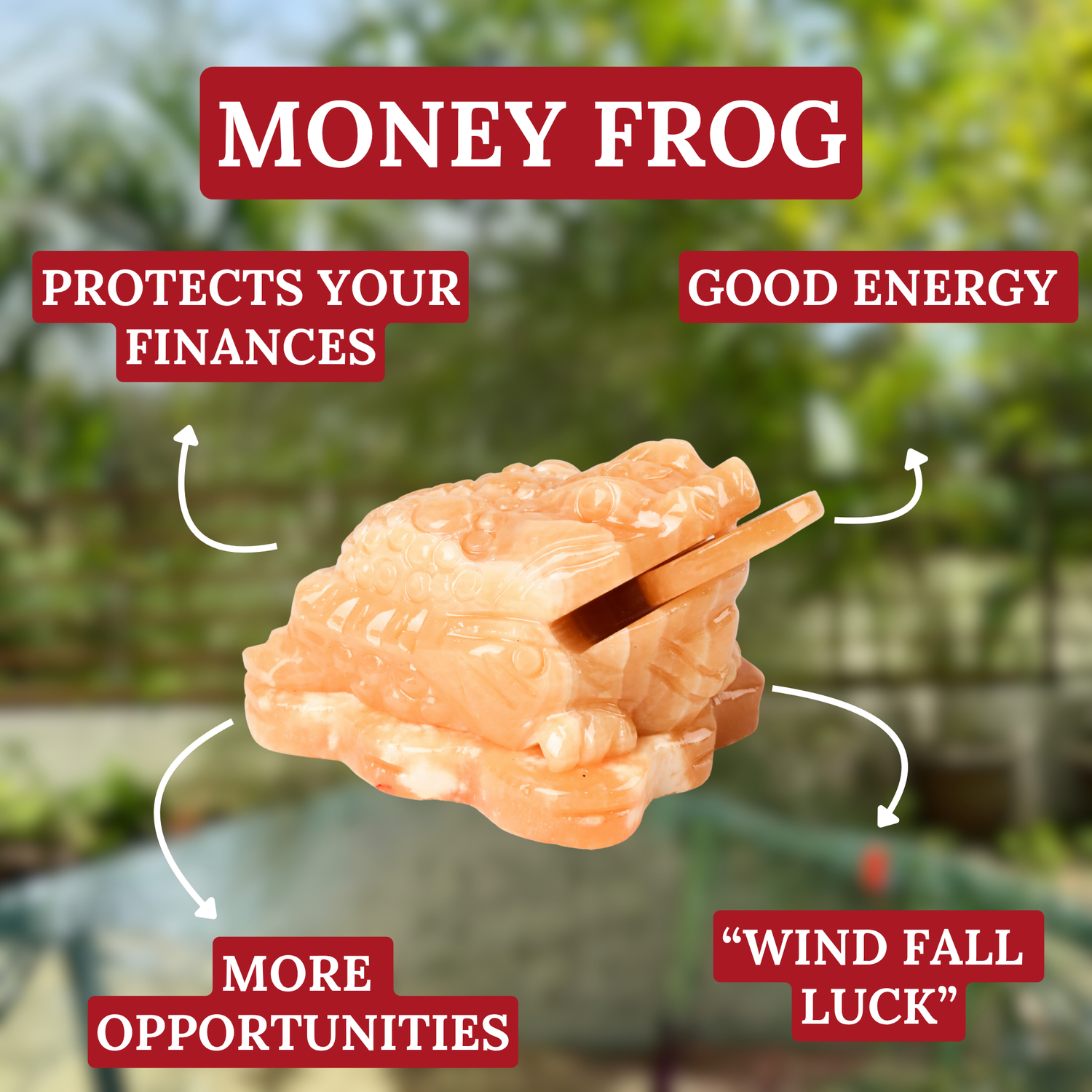 Topaz Money Frog for Growing Wealth 13cm