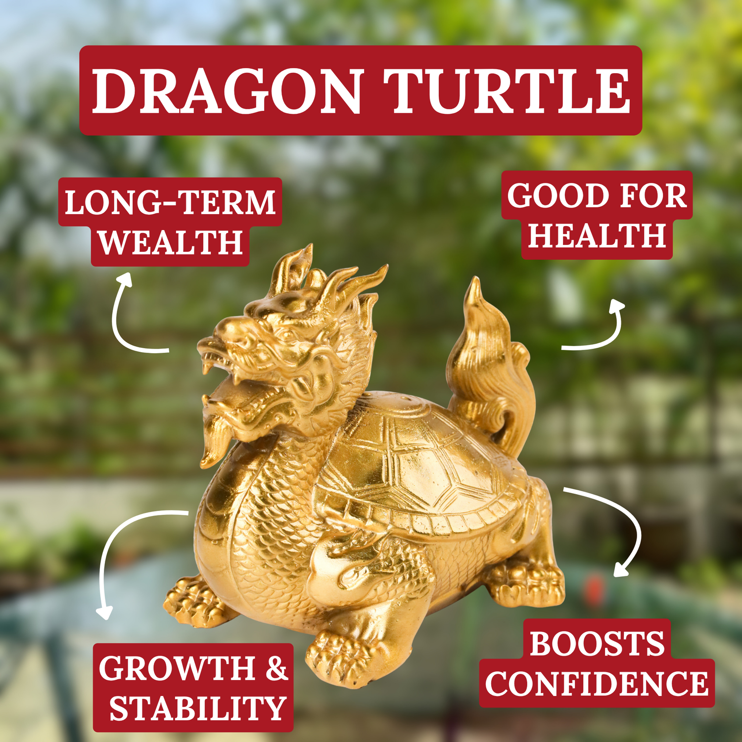 Strength and Achievement Brass Dragon Turtle 13cm