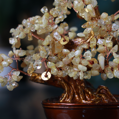 Citrine Crystal Tree for Wealth &amp; Happiness 25cm