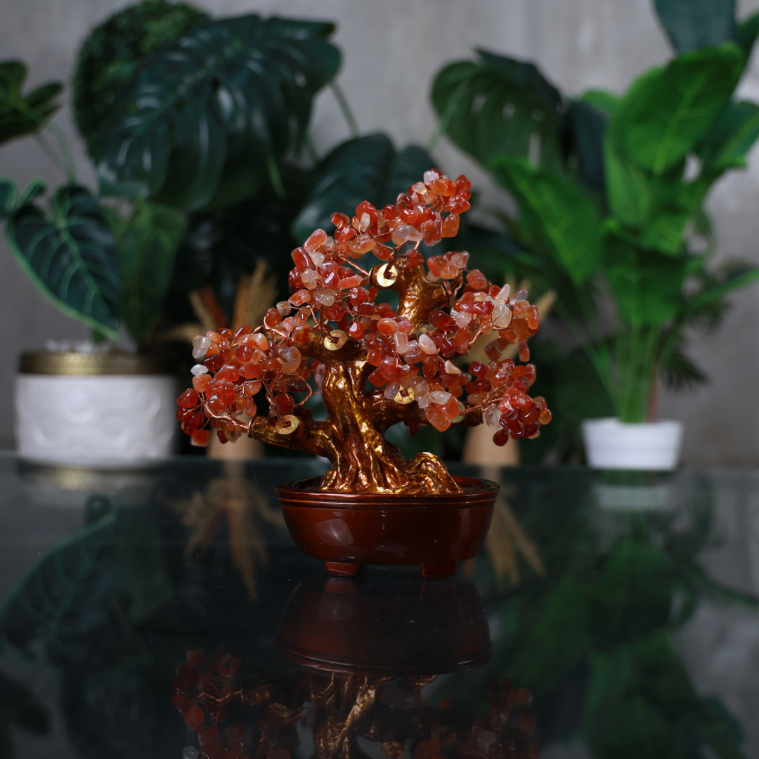 Red Agate Crystal Tree for Strength &amp; Vitality 25cm