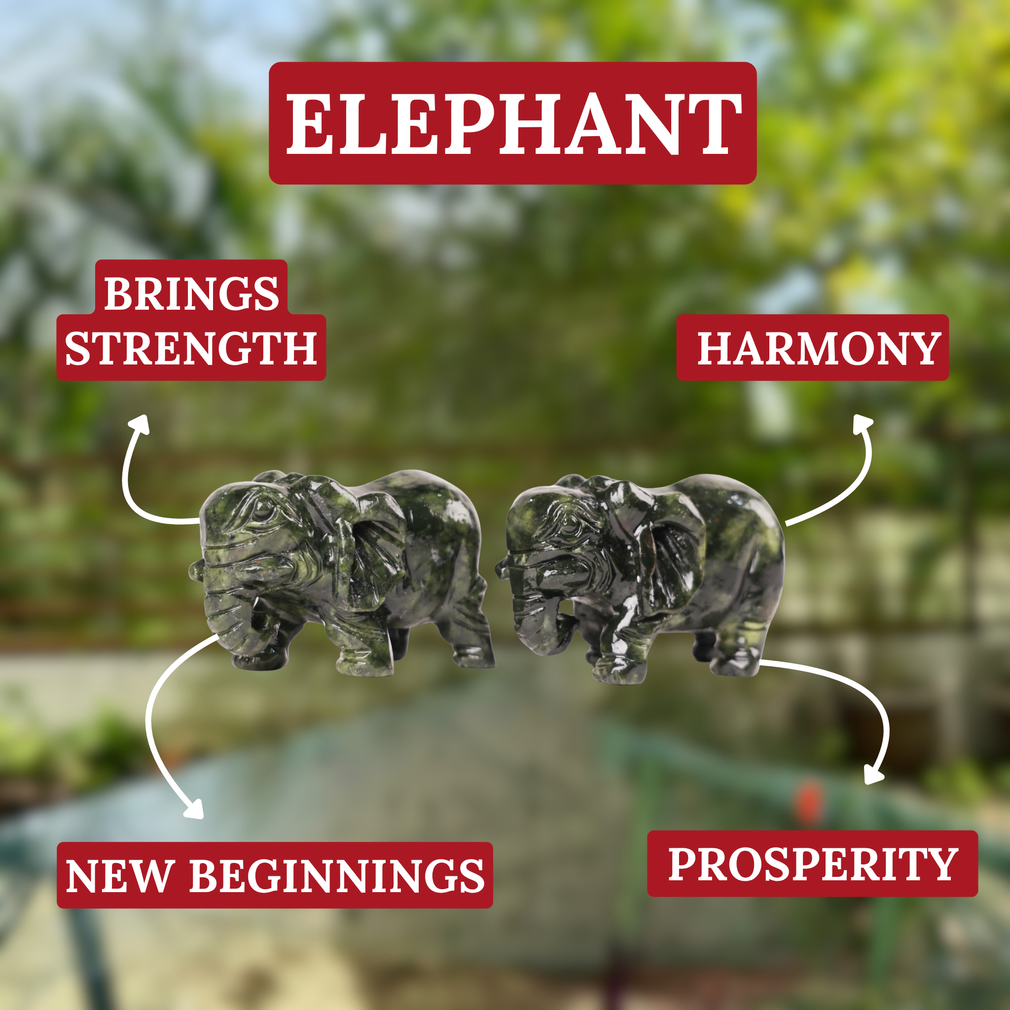 Gentle and Powerful Jade Elephant Pair 11cm