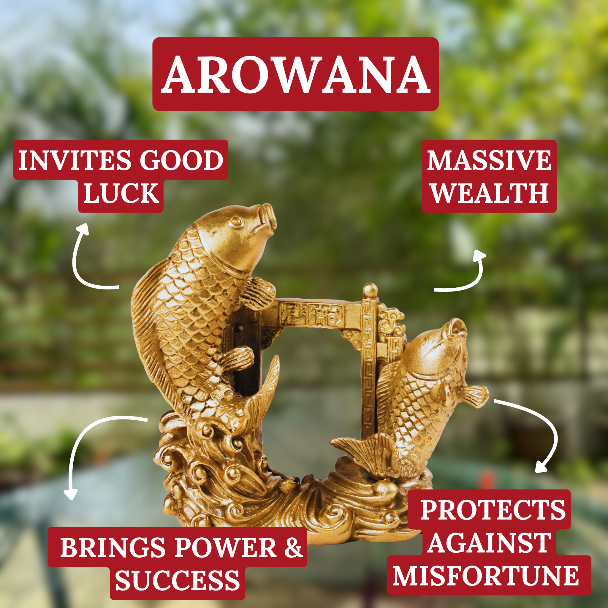 Double Fortune Brass Arowana Pair 12cm