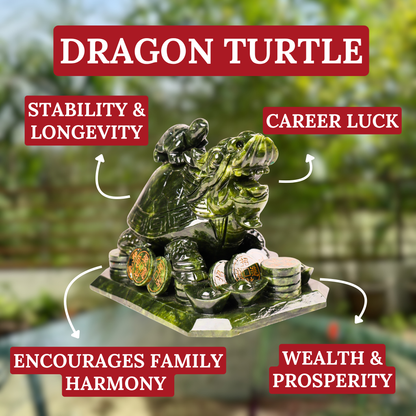 Ancestral Dragon Turtle of Long Success 23cm