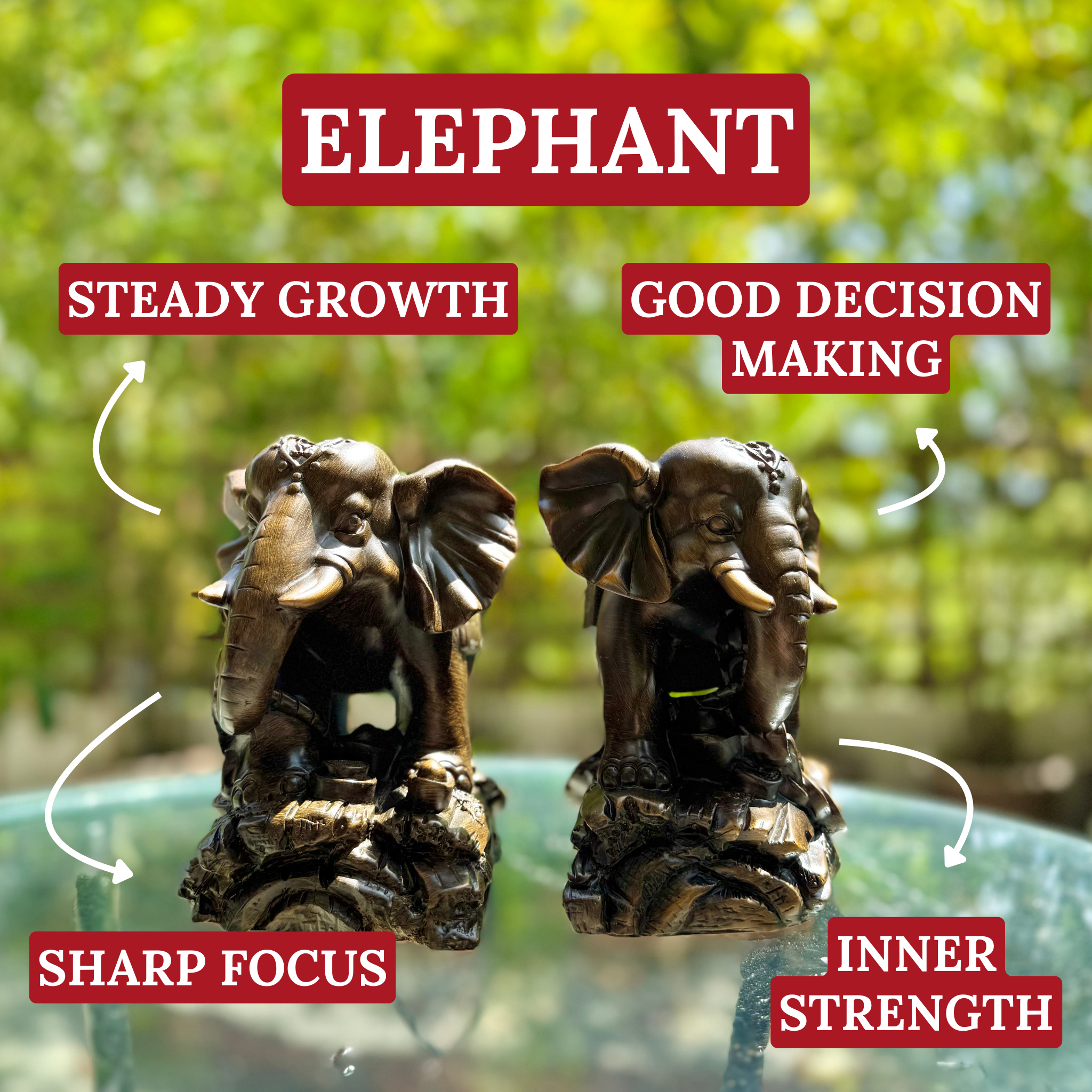 Elephant Pair for Strength and Wisdom 22cm Default Title - Feng Shui Charms - Royal Dragon Decor Philippines