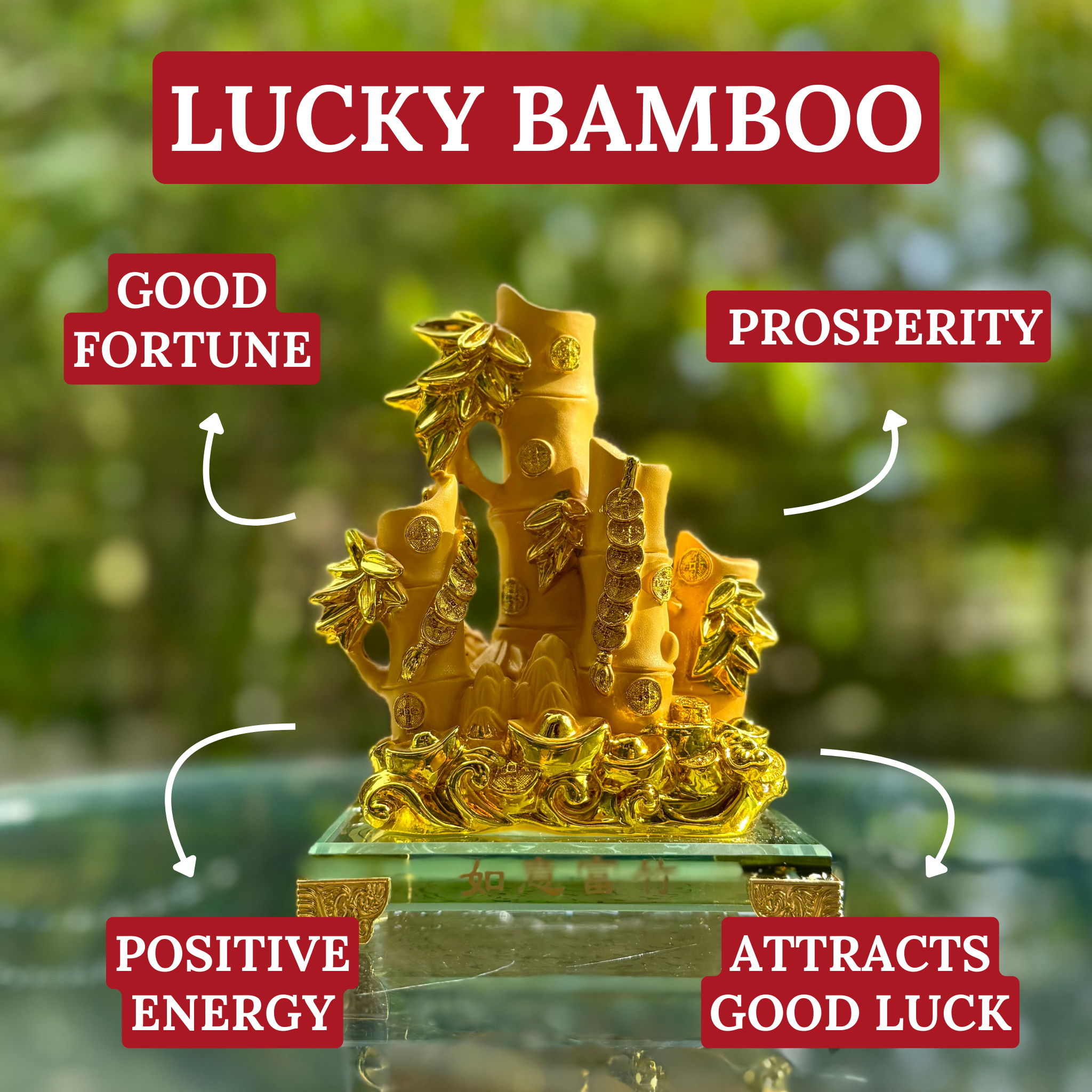 Mini Lucky Bamboo for Wealth Growth 16cm Default Title - Feng Shui Charms - Royal Dragon Decor Philippines
