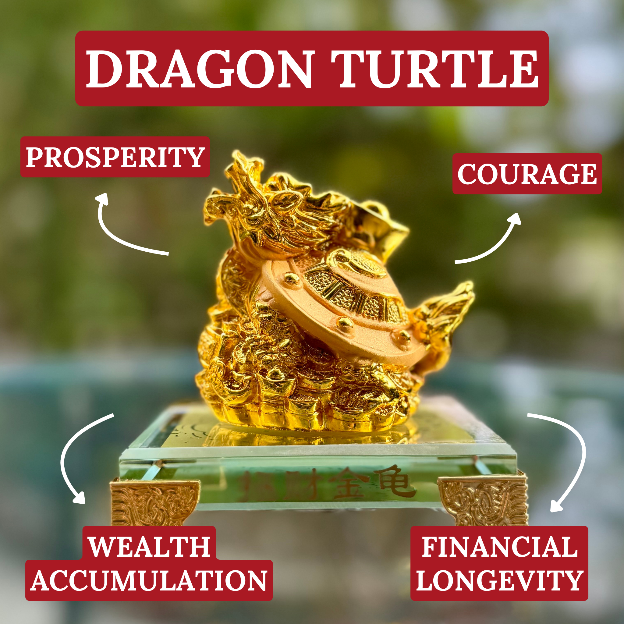Mini Dragon Turtle for Steady Income 11cm Default Title - Feng Shui Charms - Royal Dragon Decor Philippines