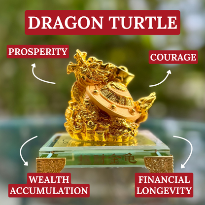 Mini Dragon Turtle for Steady Income 11cm Default Title - Feng Shui Charms - Royal Dragon Decor Philippines