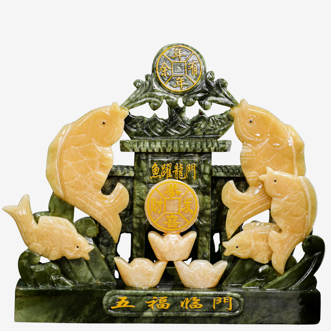 Home of Wealth-Building Arowanas 31cm