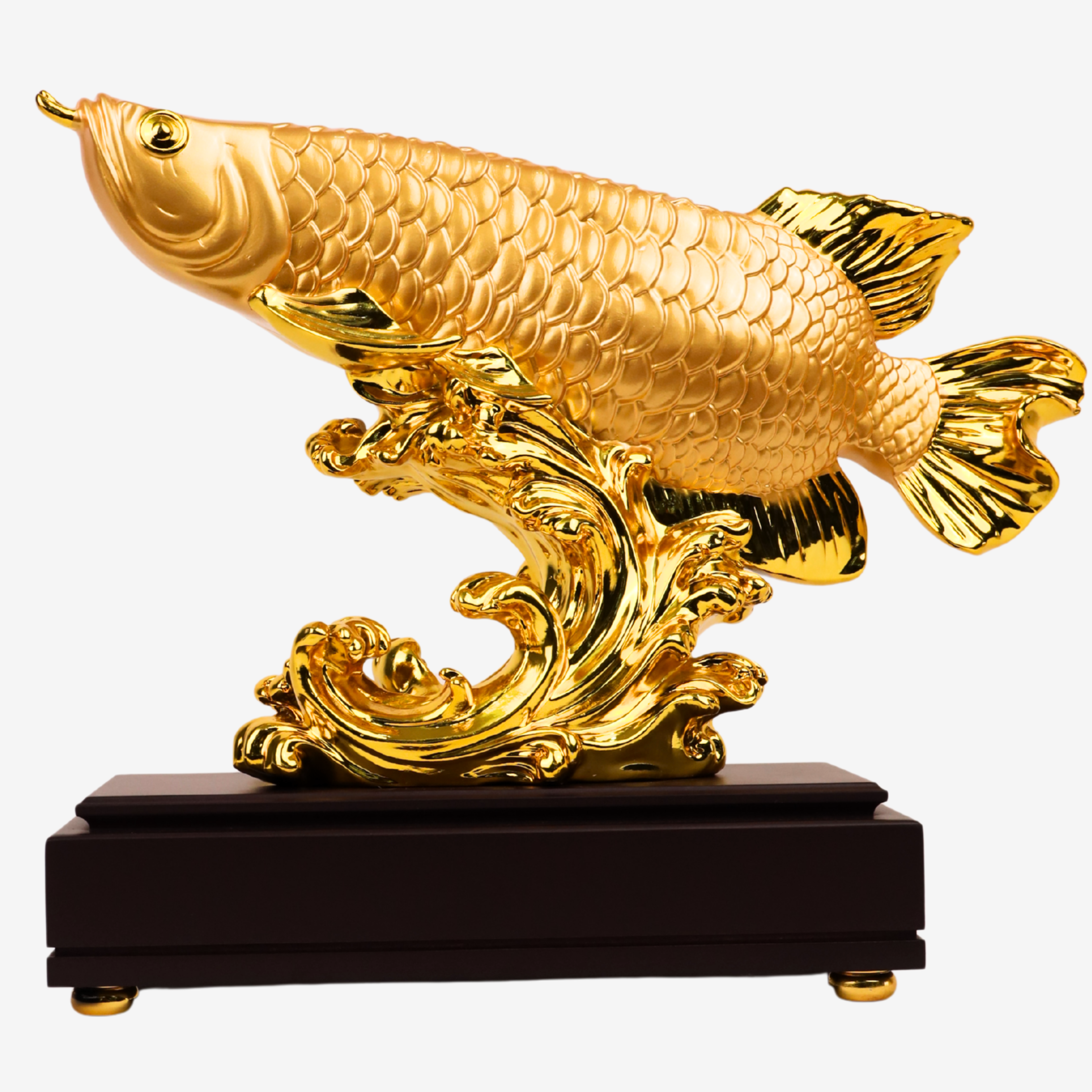 The Golden Dragon Fish Arowana 41cm