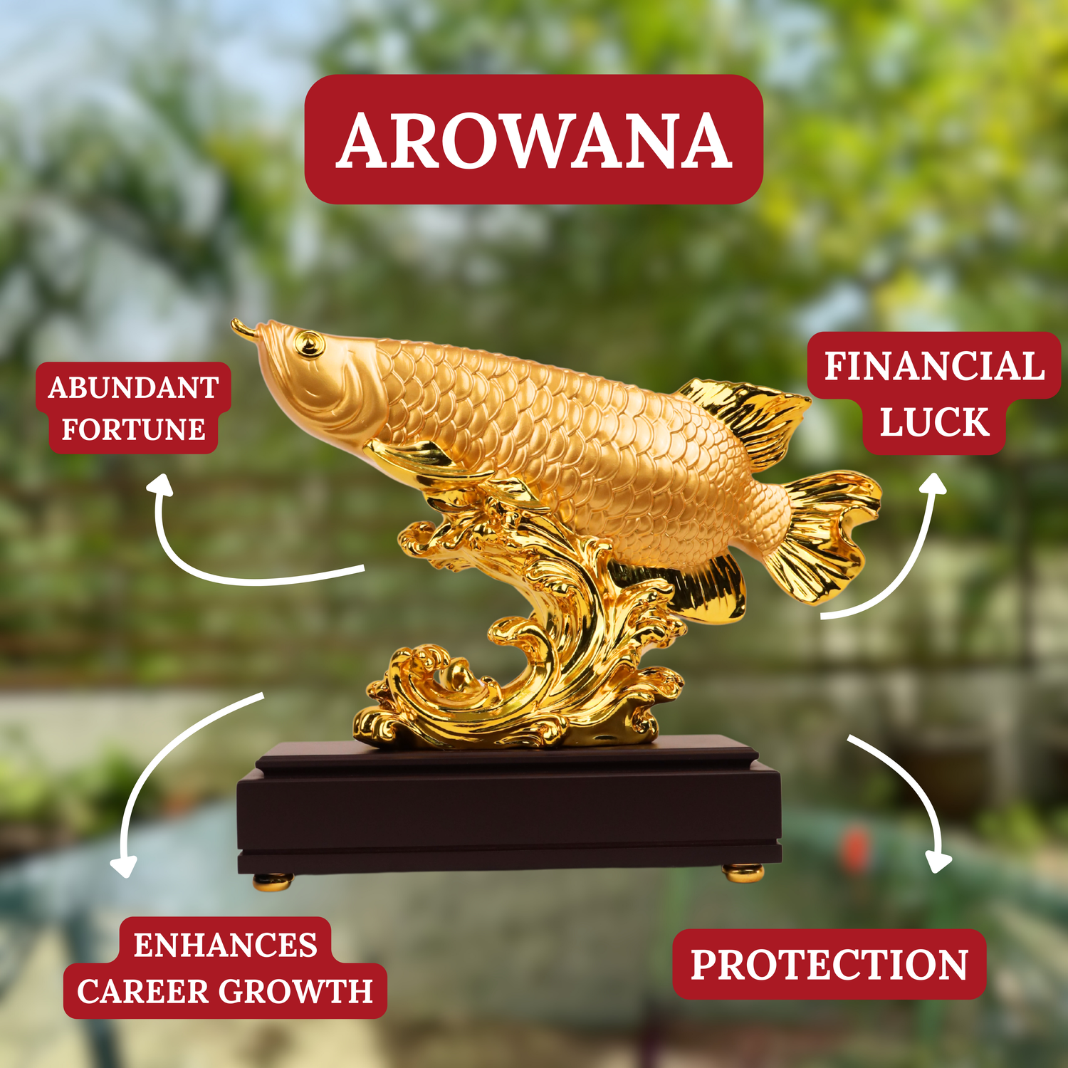 The Golden Dragon Fish Arowana 41cm