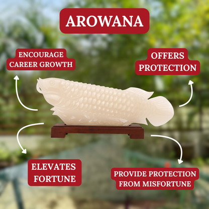 "Strengthen Business Luck" - Jade Arowana 62cm