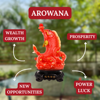 Red Rising Dragon Fish of Prosperity 42cm