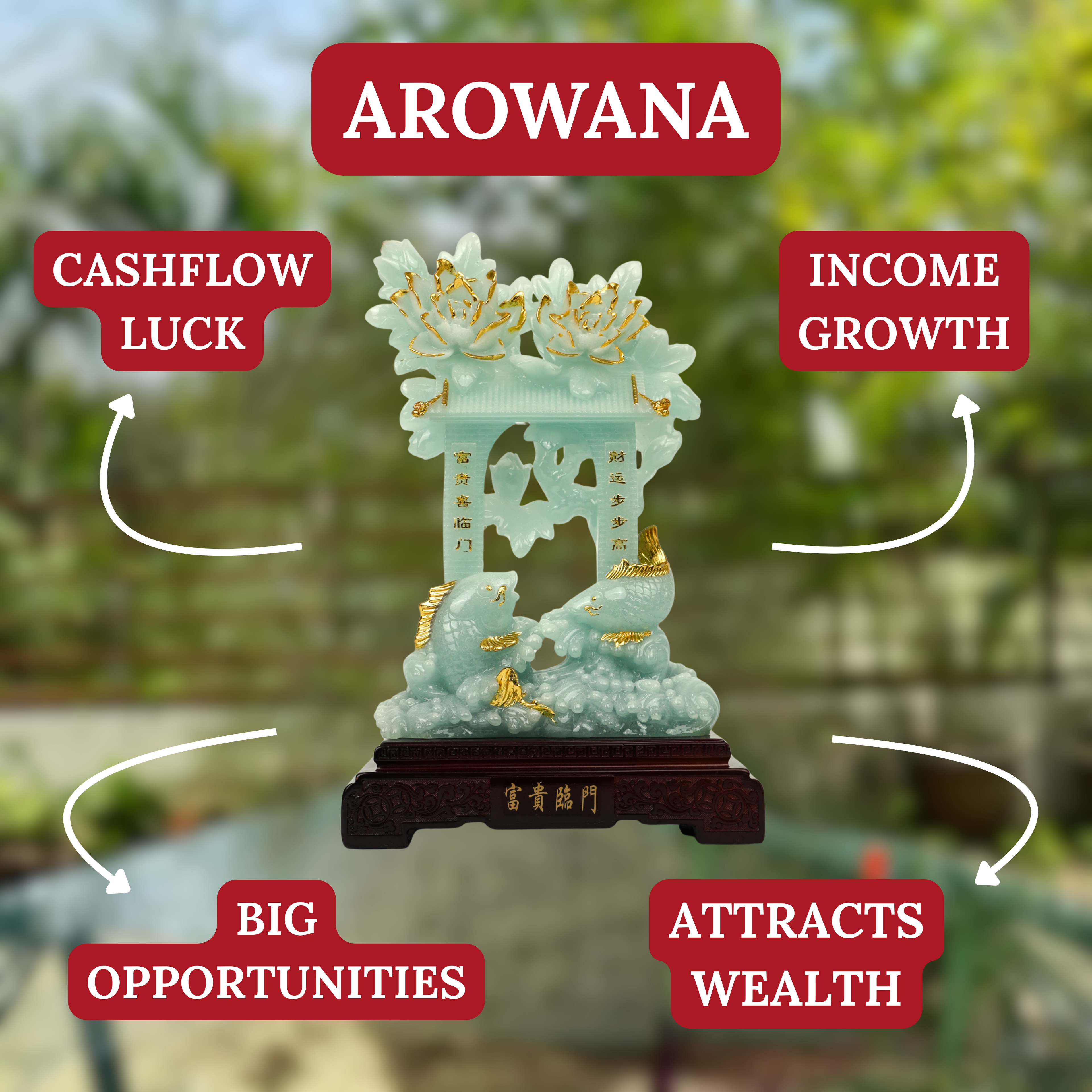 A Home Filled With Wealth Arowanas 26cm