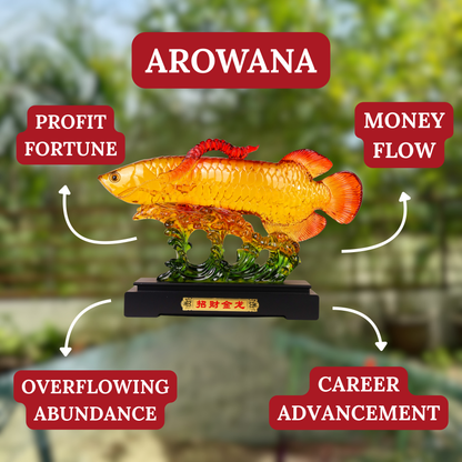 King Arowana of Grand Wealth Overflow 75cm