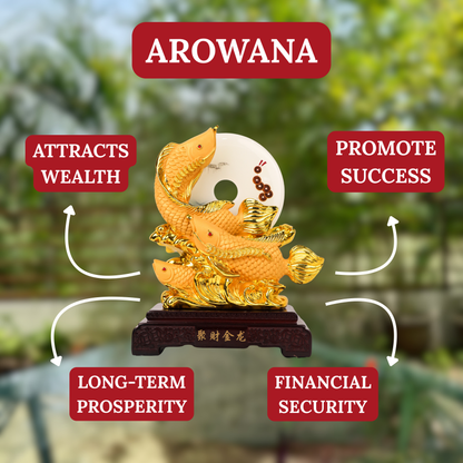 Incoming Prosperity Arowanas with Bi Disc 25cm