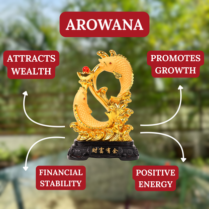Infinity Wealth Twin Arowanas 25cm