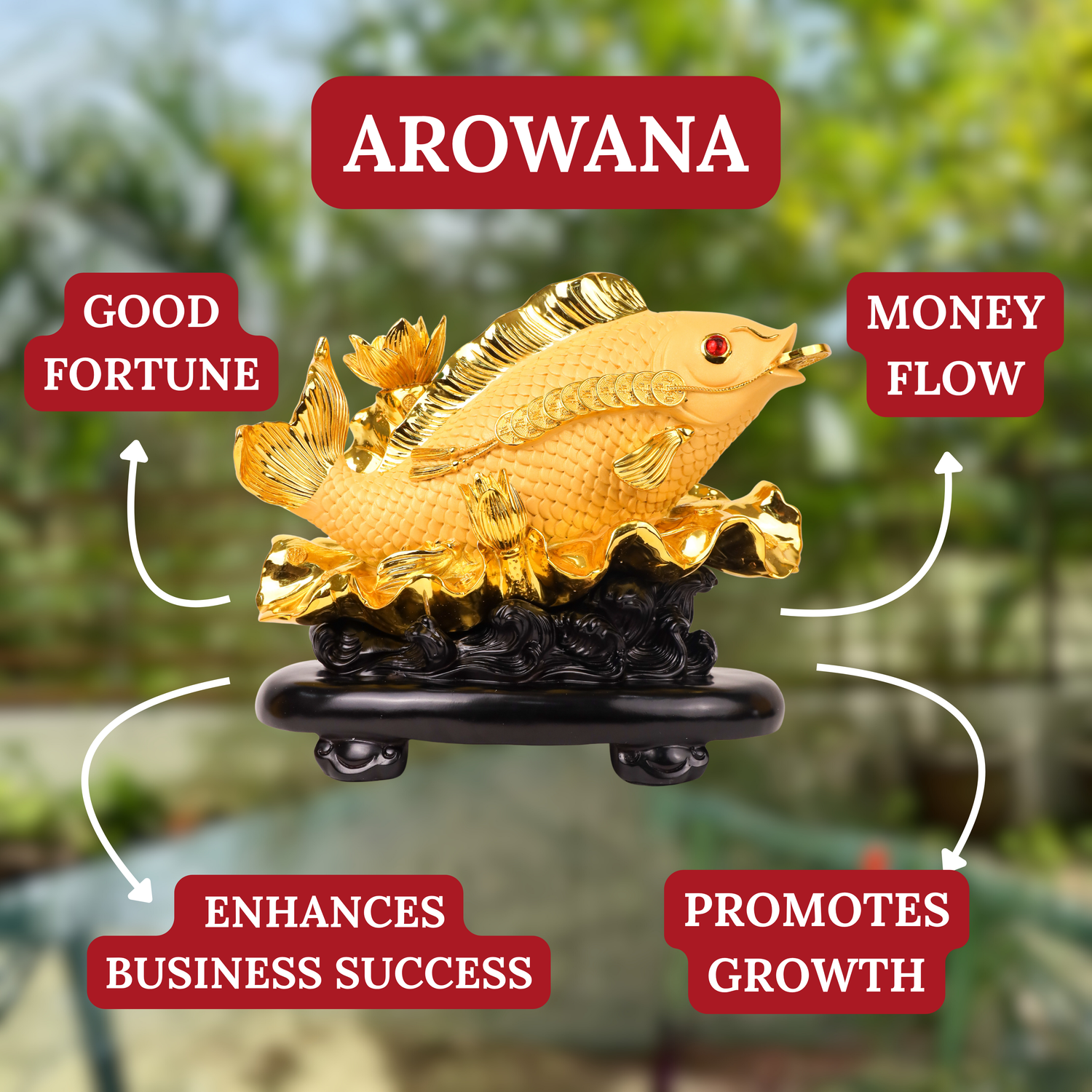 Dragonfish of Fortune Golden Arowana 33cm