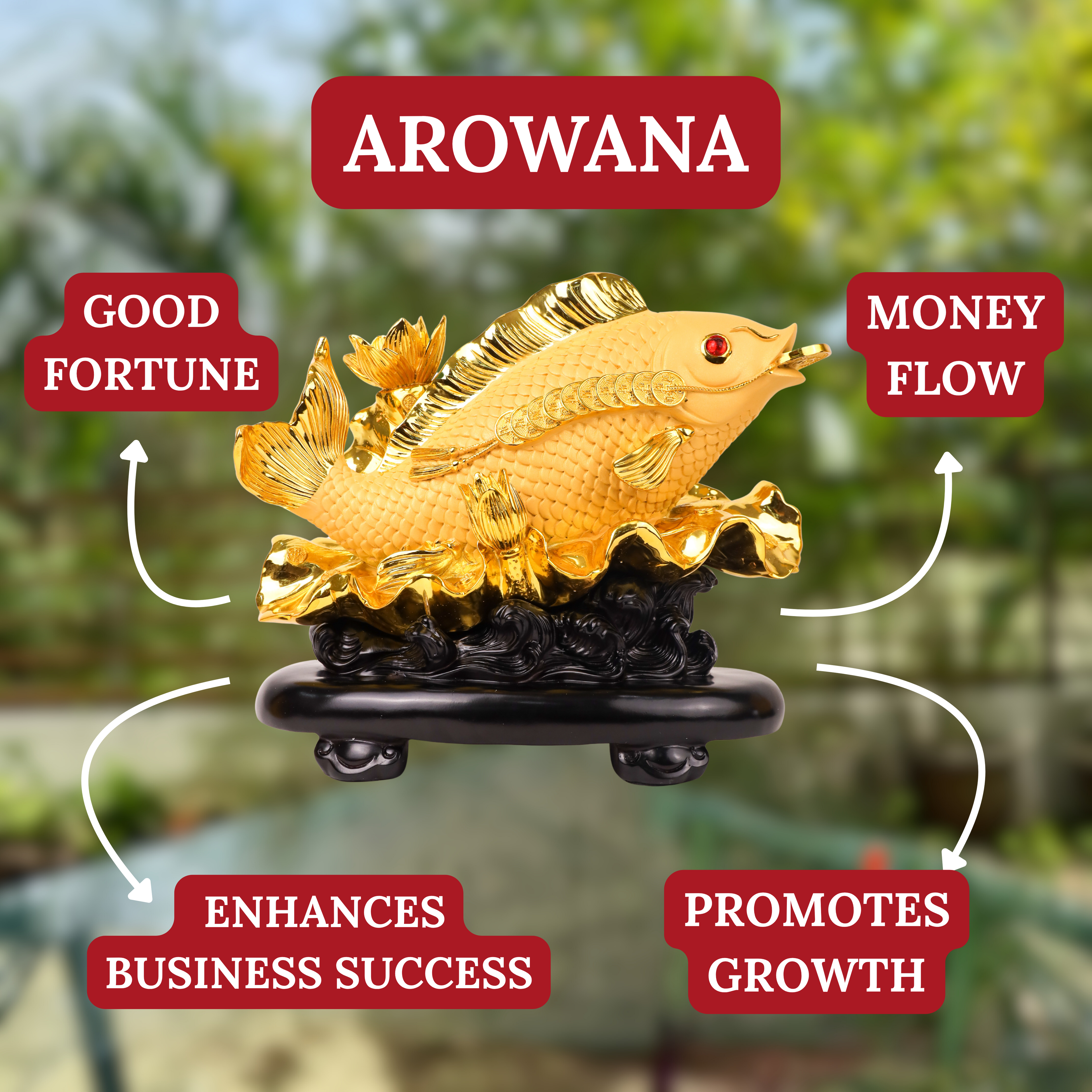 Dragonfish of Fortune Golden Arowana 33cm