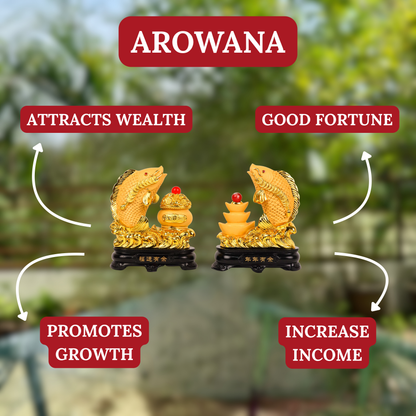 Double Wealth Golden Arowana Pair 17cm