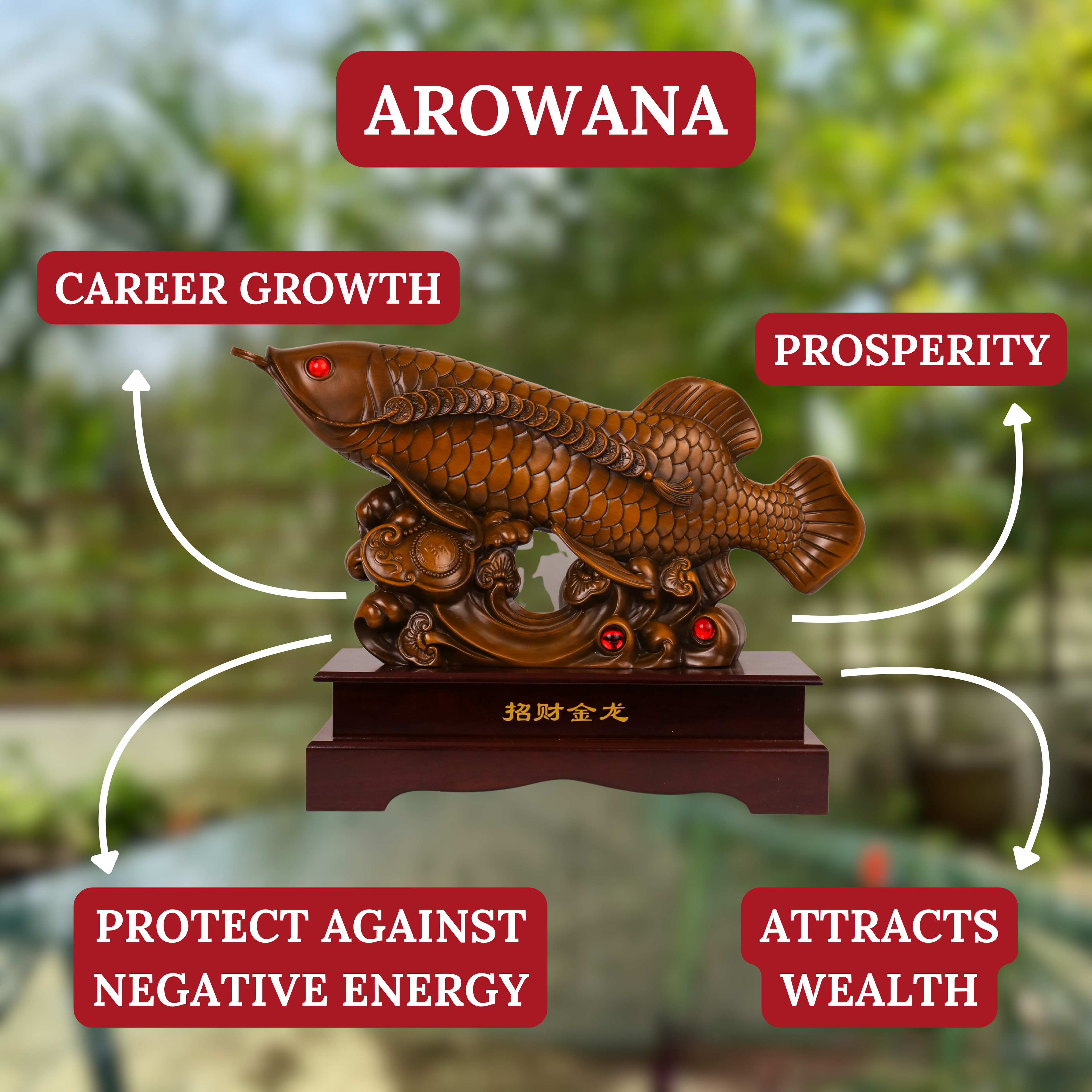 Grand Ancient Arowana of Expanding Wealth 65cm