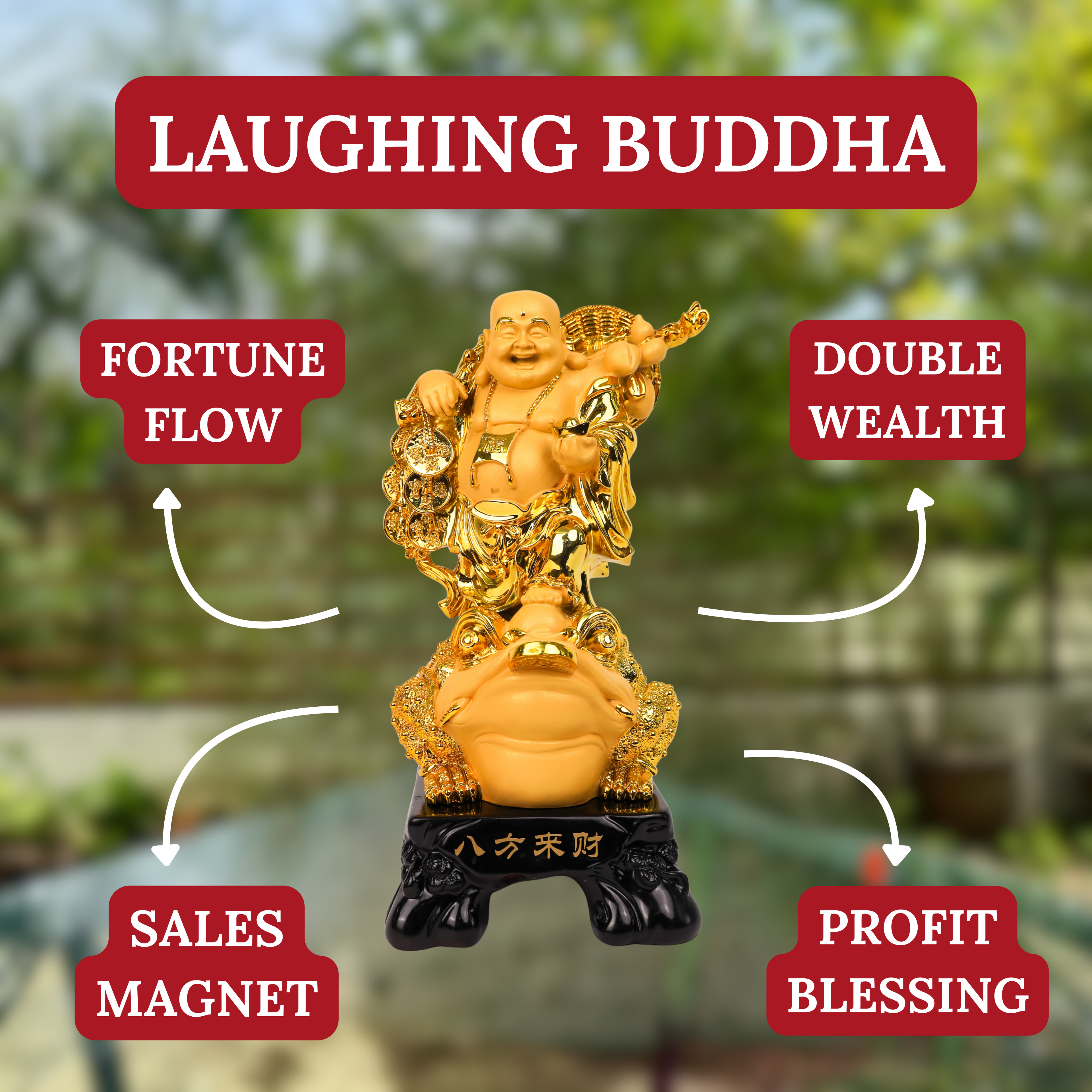 Double Wealth Luck Buddha on Money Frog 36cm