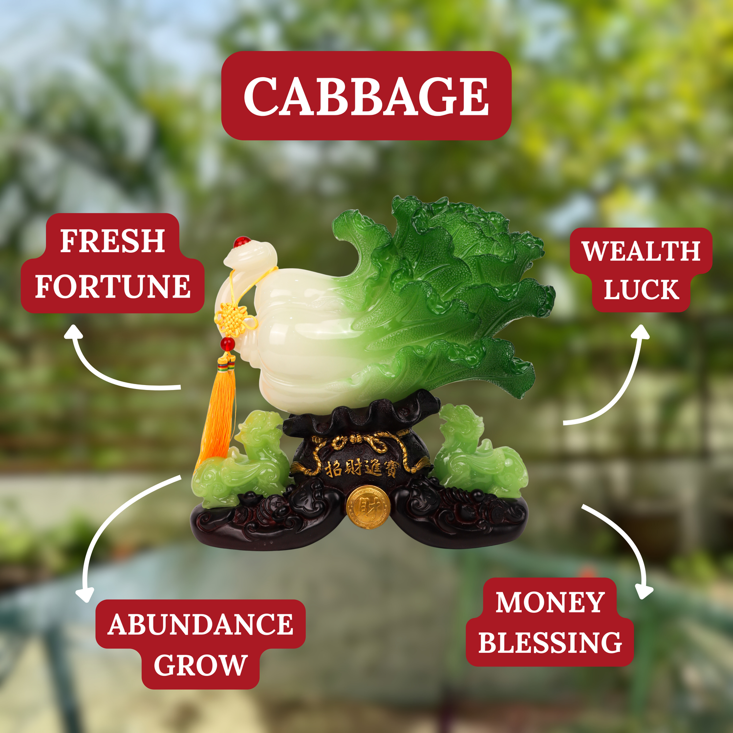 Fresh Fortune Chinese Wealth Cabbage 16cm