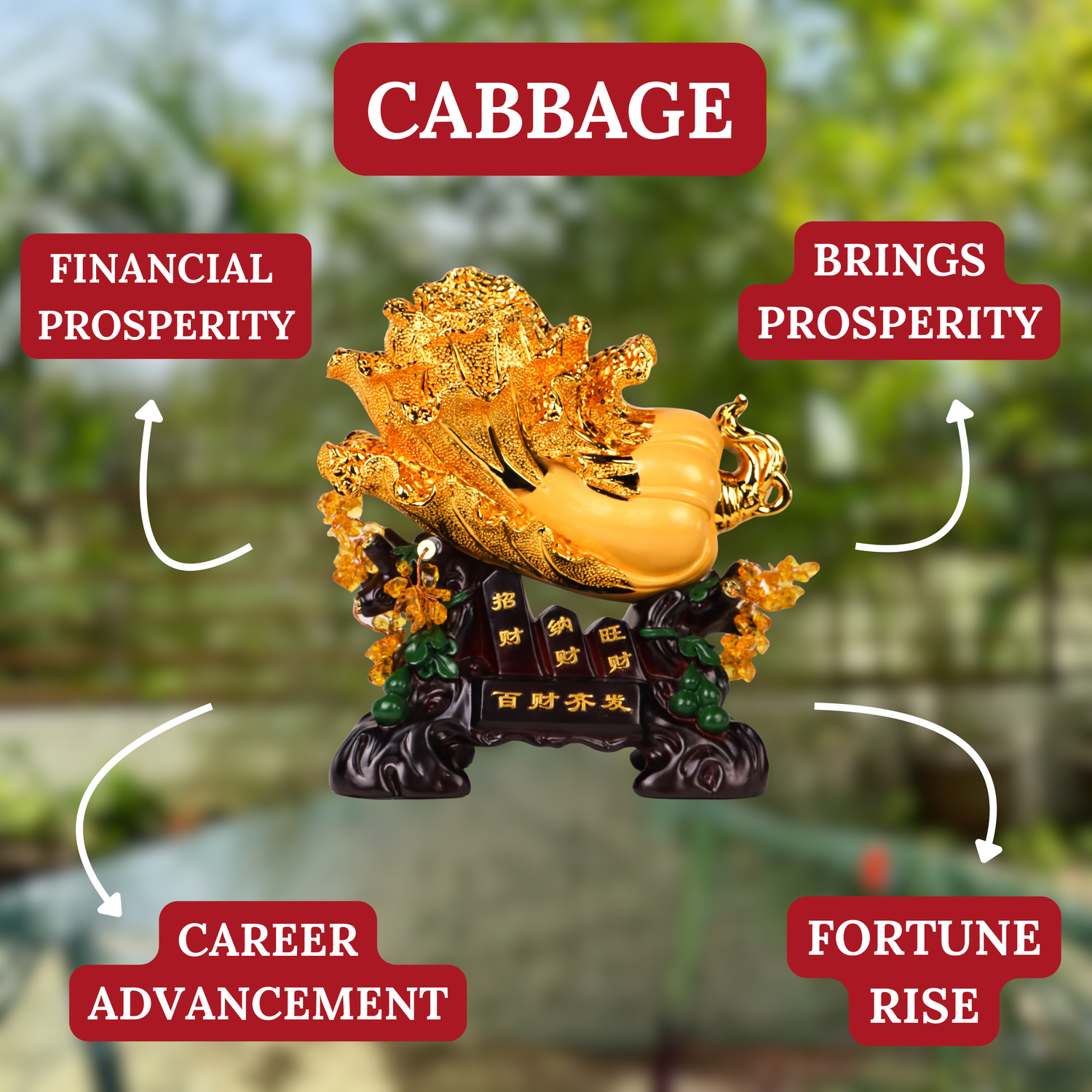 Golden Wealth Cabbage for Money Attraction 38cm