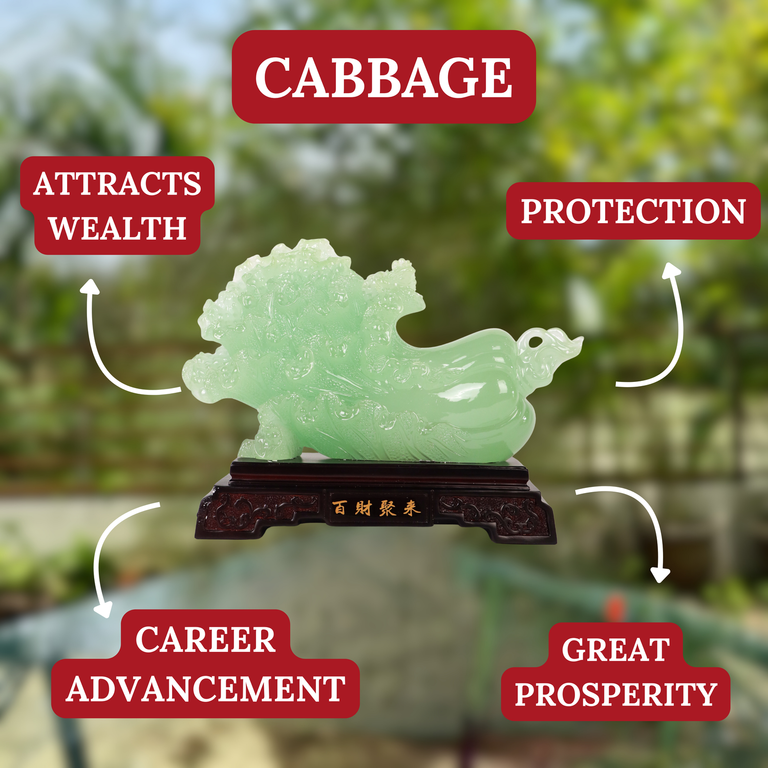 Chinese Wealth Cabbage of Easy Fortune 35cm