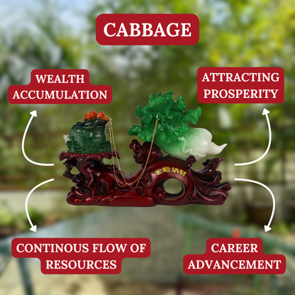 The Big Gains Cabbage with Money Frog 50cm