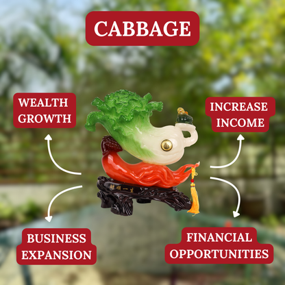 Cabbage on Chili for Aggresive Wealth Growth 46cm
