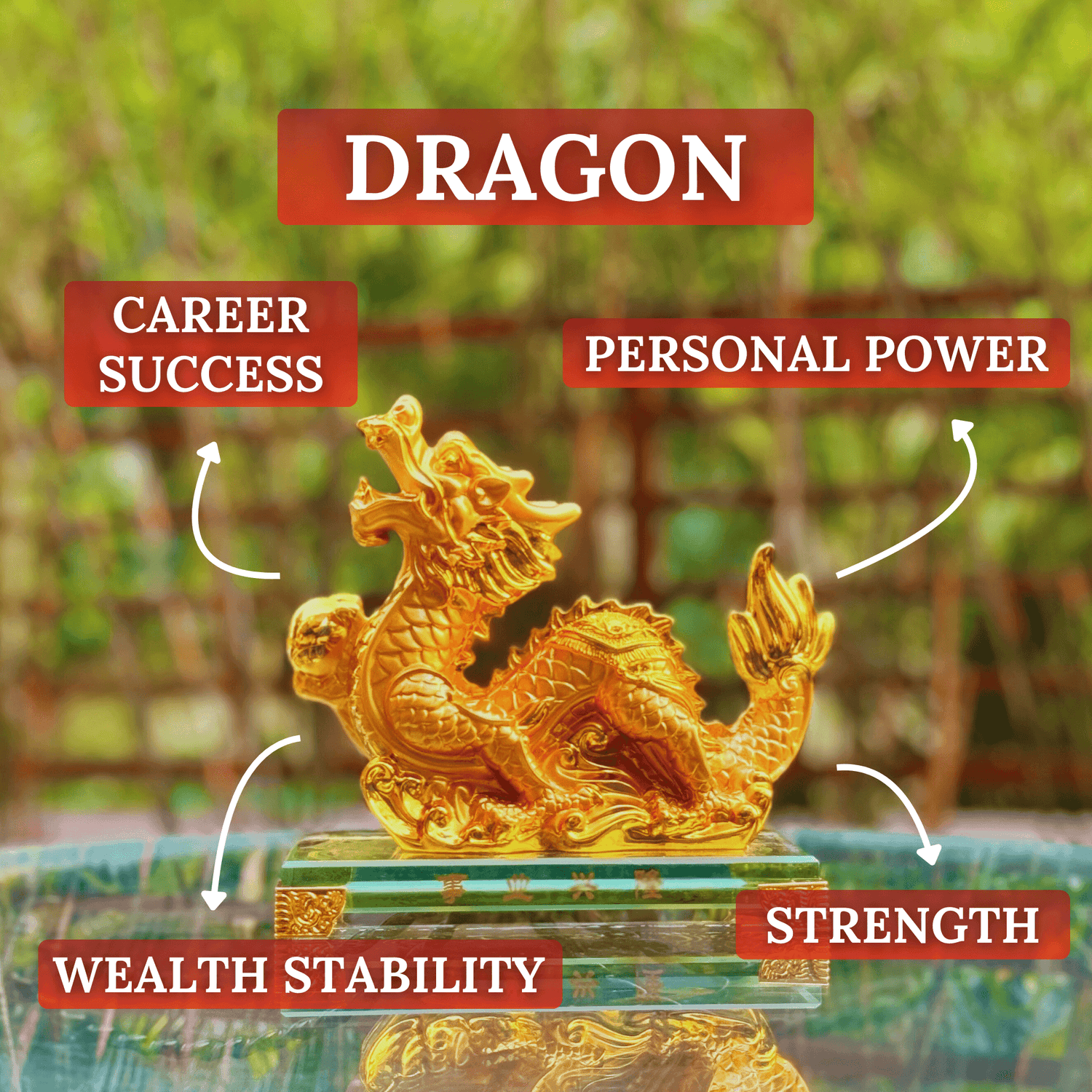 Gold Zodiac Dragon for Career Sucess 17cm - Feng Shui Chinese Lucky Items - Royal Dragon Decor