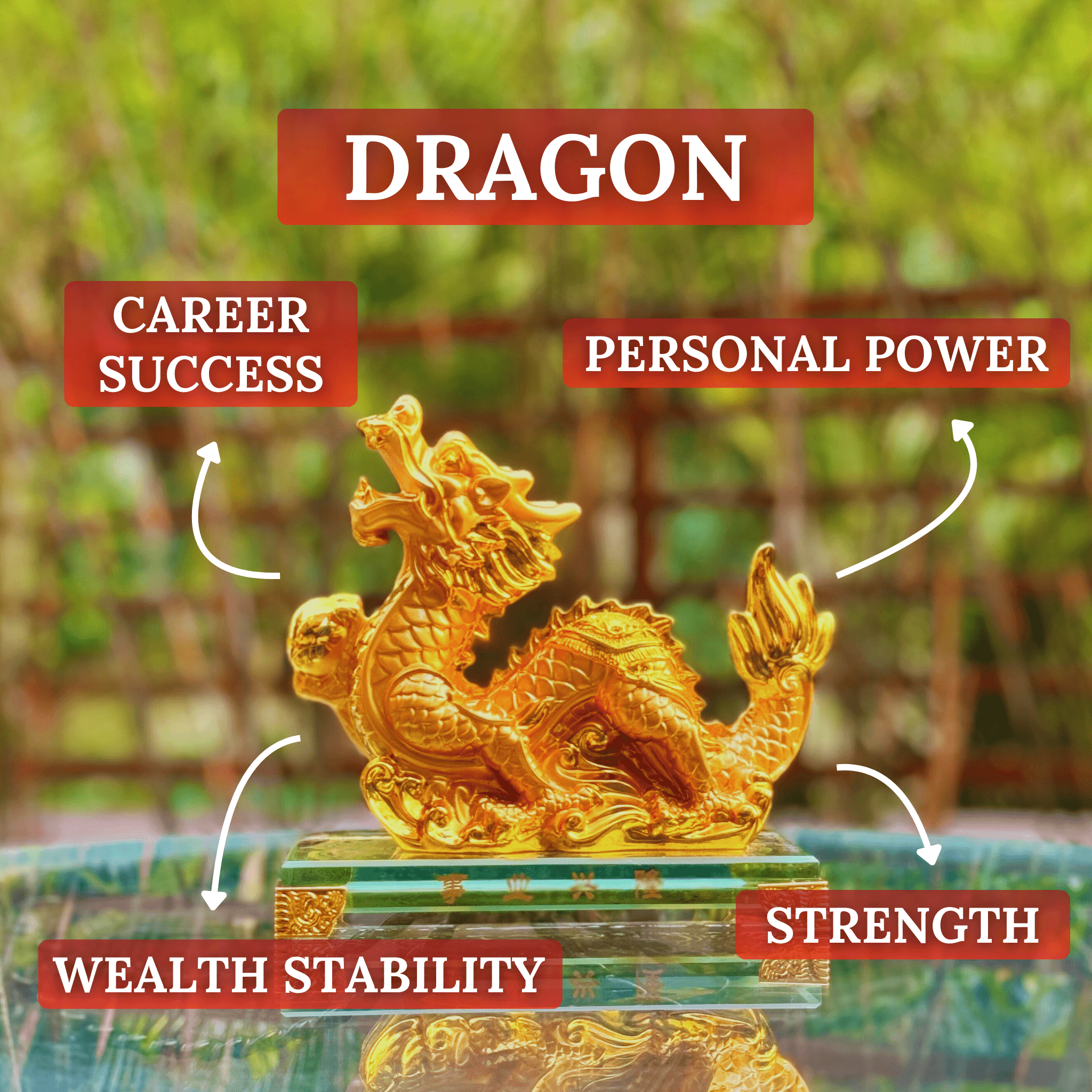 Gold Zodiac Dragon for Career Sucess 17cm - Feng Shui Chinese Lucky Items - Royal Dragon Decor