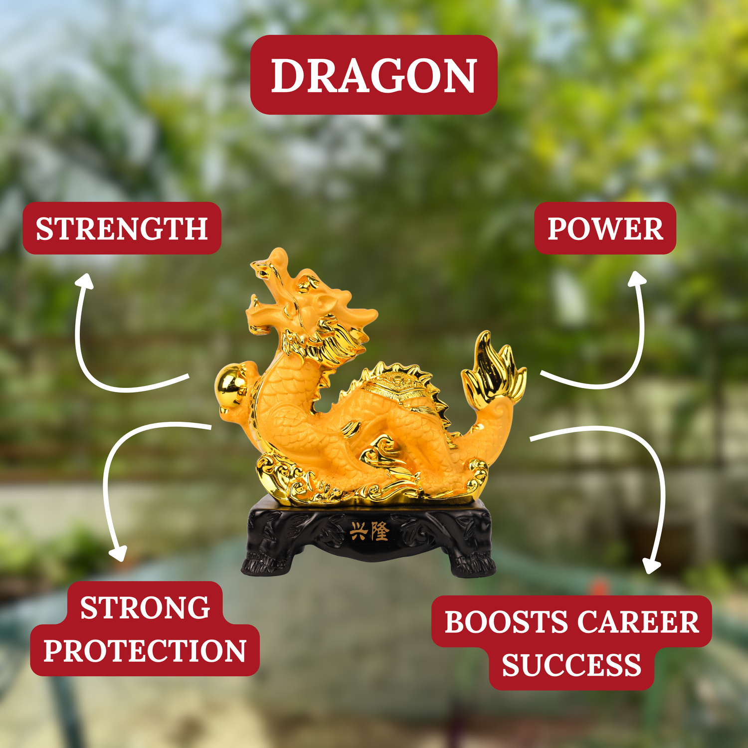 Golden Zodiac Dragon of Leadership &amp; Victory 18cm