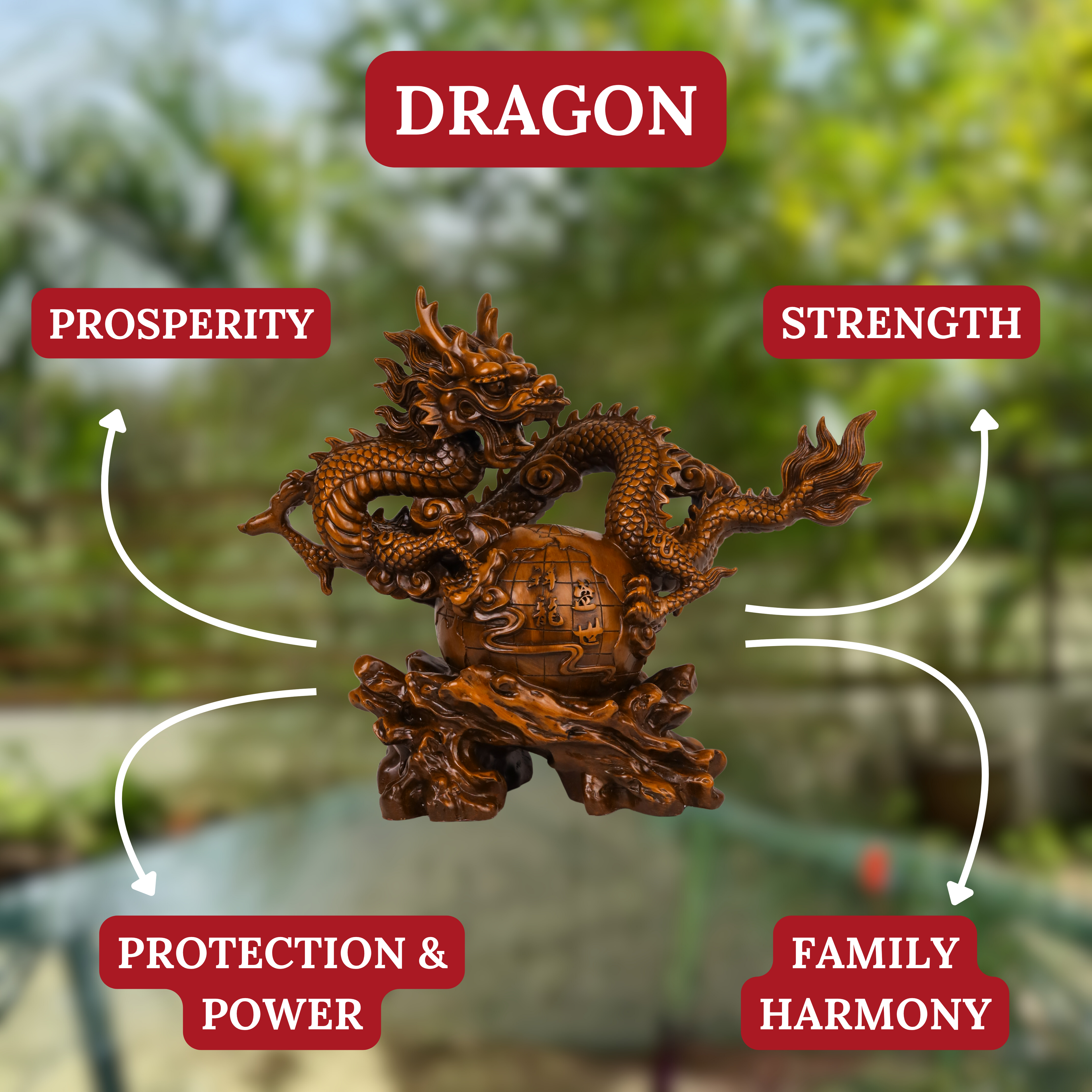 Worldwide Wealth Expansion Wood Dragon 54cm
