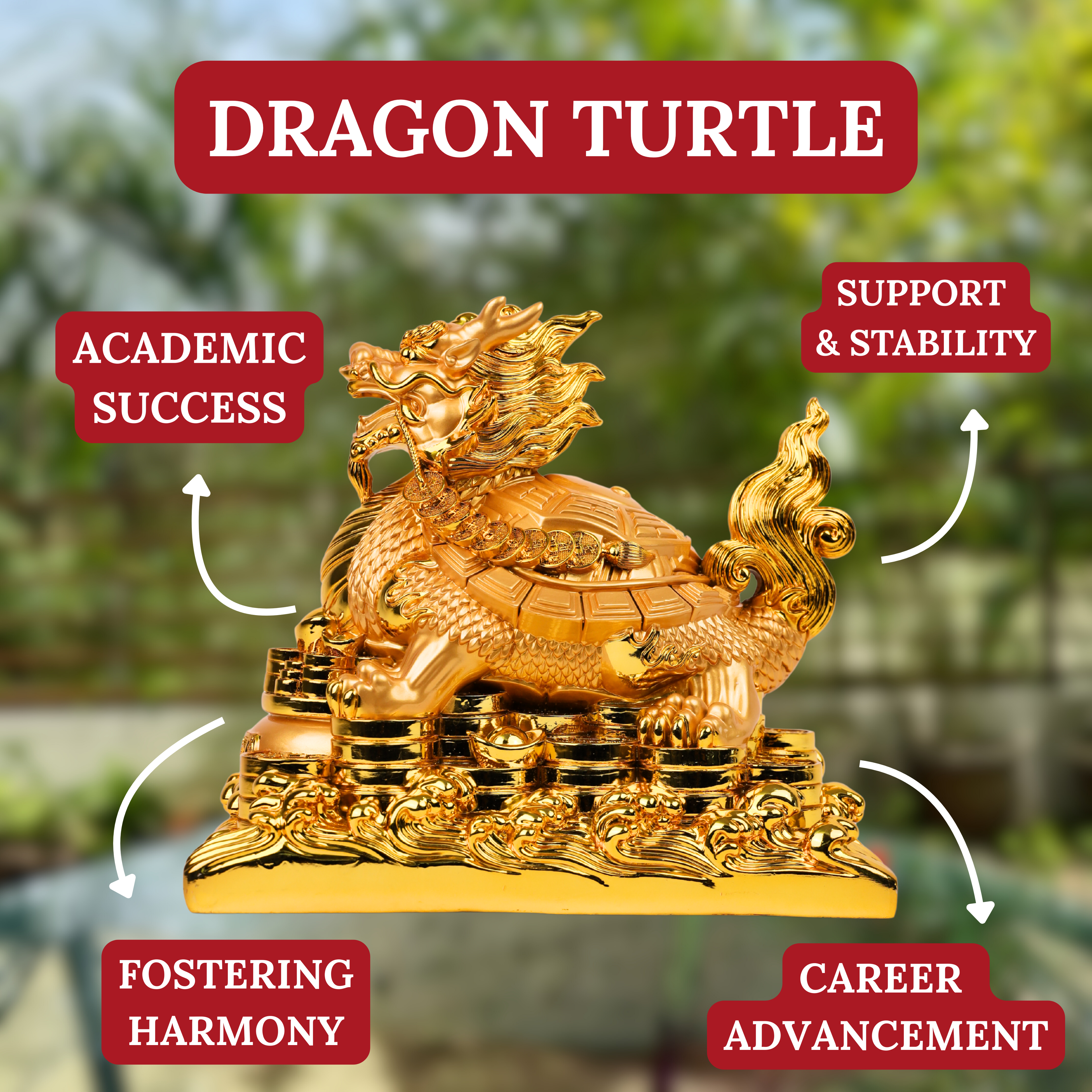 Successful Forever Golden Dragon Turtle 32cm