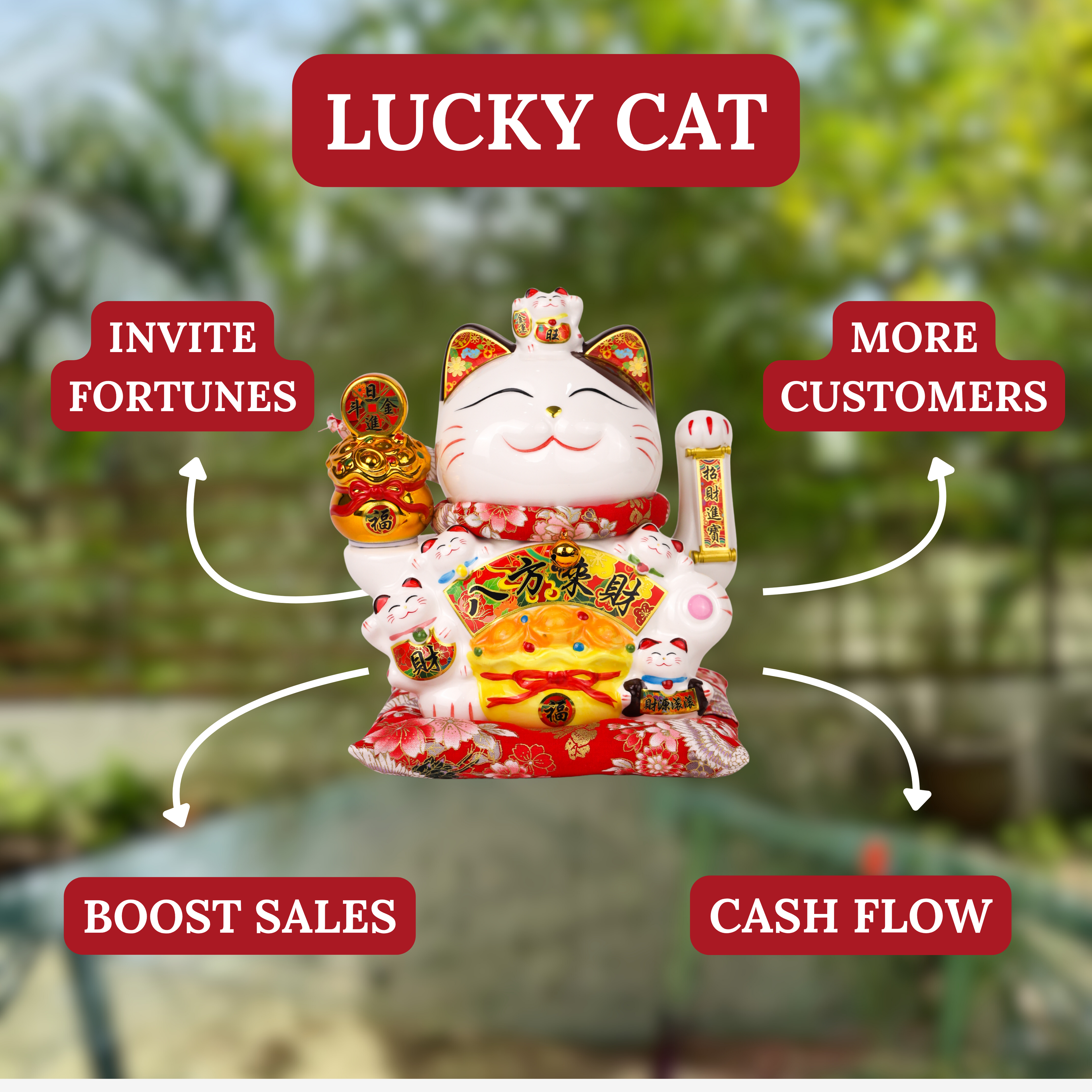 Invite The Fortune Lucky Cat 25cm