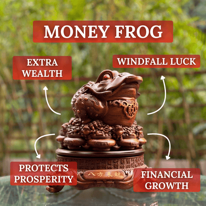 Wood Rotating Three-legged Toad on Money Pots 25cm - Feng Shui Chinese Lucky Items - Royal Dragon Decor