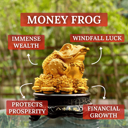 Rotating Money Frog on Gold Coins 25cm - Feng Shui Chinese Lucky Items - Royal Dragon Decor