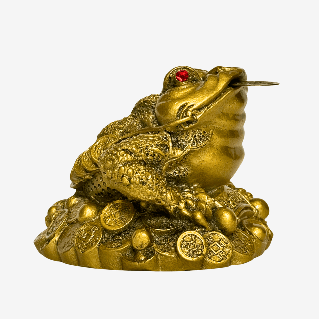 Wealth Attracting Money Frog to Increase Luck 12cm - Feng Shui Chinese Lucky Items - Royal Dragon Decor