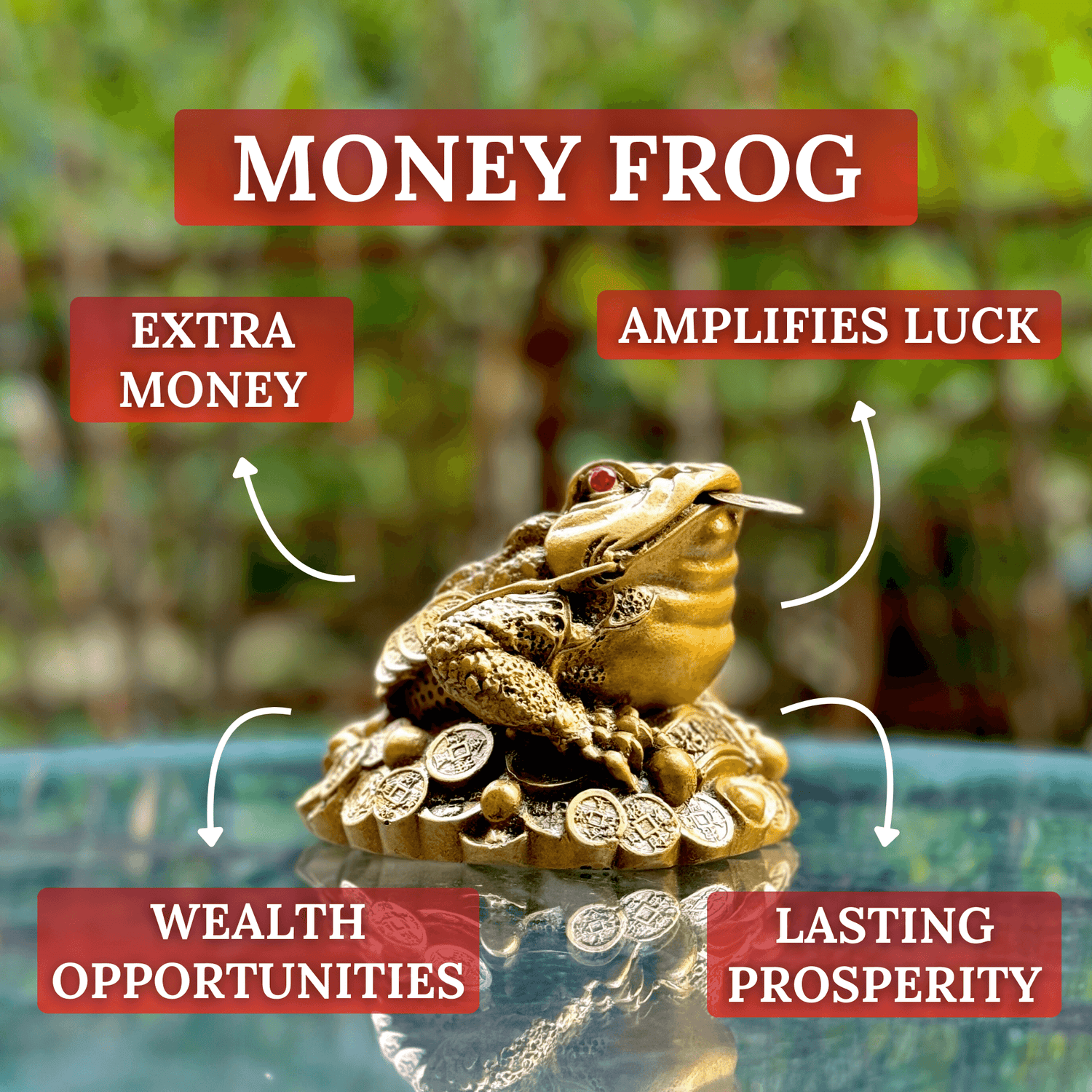 Wealth Attracting Money Frog to Increase Luck 12cm - Feng Shui Chinese Lucky Items - Royal Dragon Decor