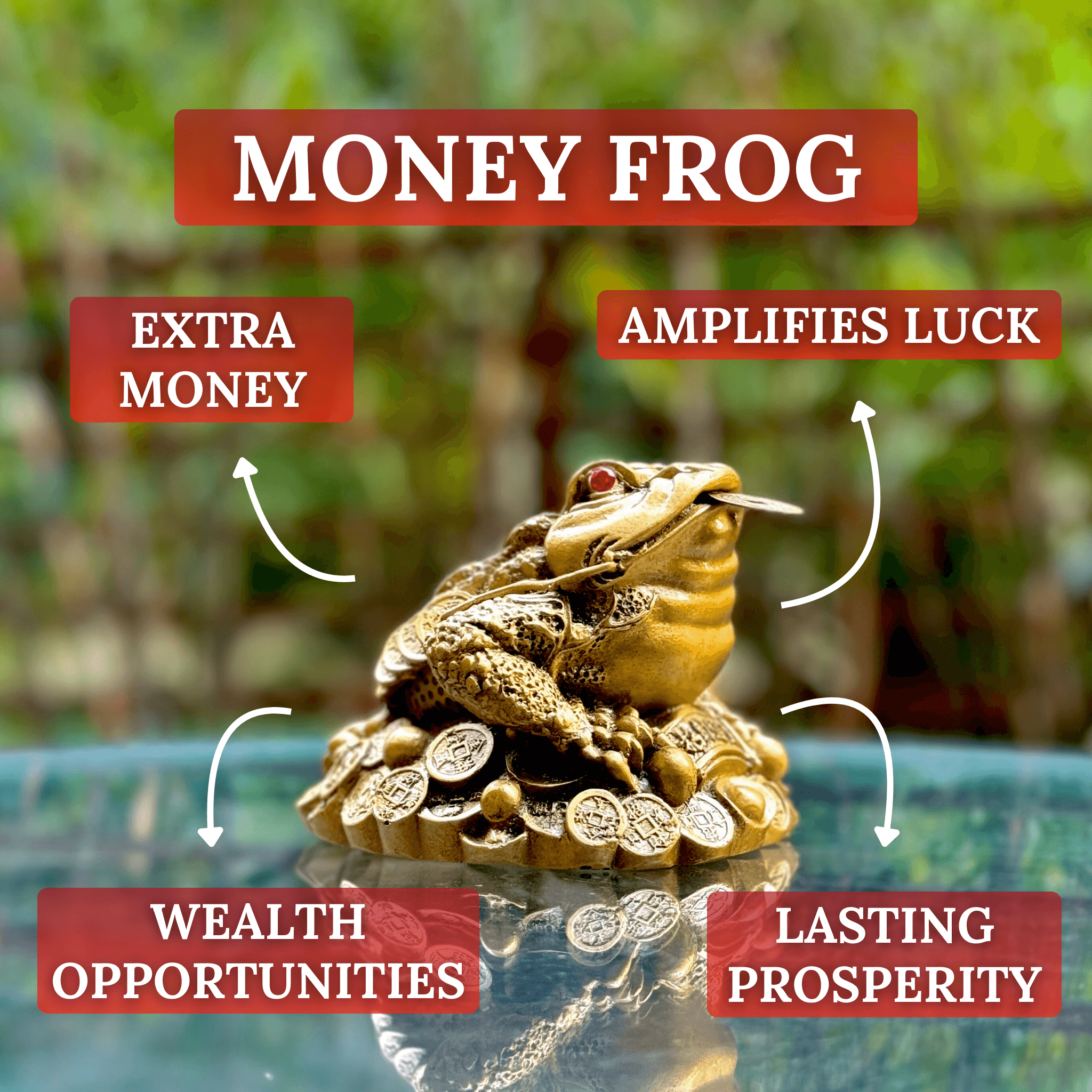 Wealth Attracting Money Frog to Increase Luck 12cm - Feng Shui Chinese Lucky Items - Royal Dragon Decor