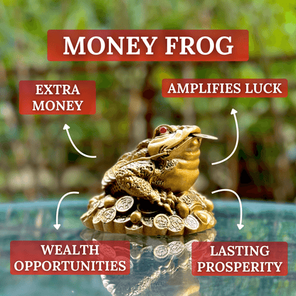 Wealth Attracting Money Frog to Increase Luck 12cm - Feng Shui Chinese Lucky Items - Royal Dragon Decor