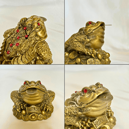 Wealth Attracting Money Frog to Increase Luck 12cm - Feng Shui Chinese Lucky Items - Royal Dragon Decor