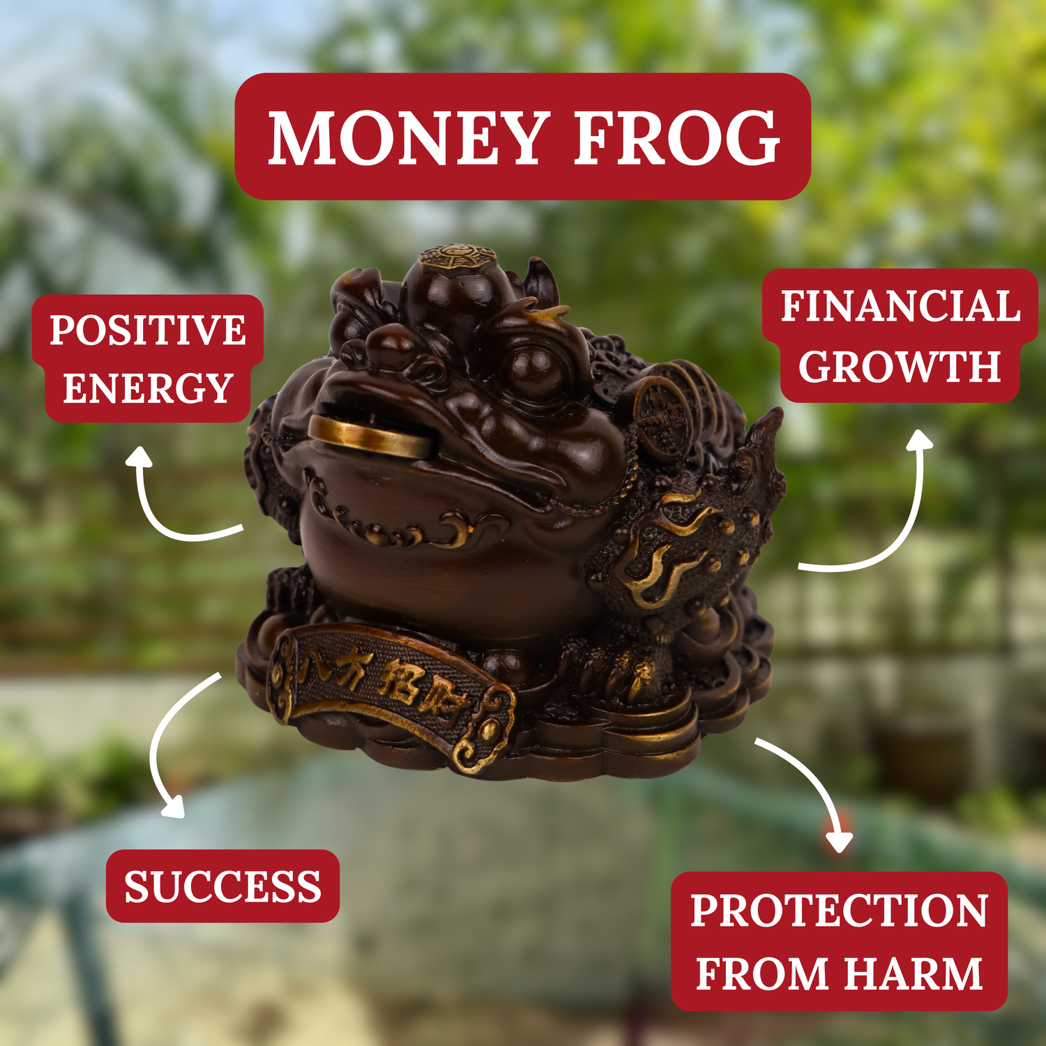 Wealth of the Earth - Brass Money Frog 11cm